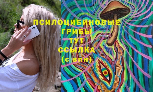 хмурый Алексеевка
