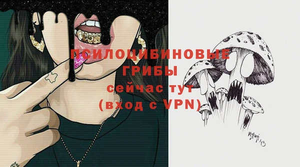 хмурый Алексеевка